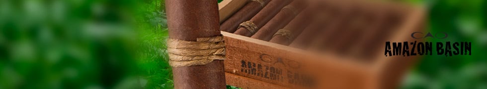 CAO Amazon Basin